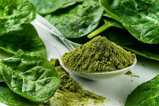 Spinach Powder: A Secret Weapon Against Macular Degeneration